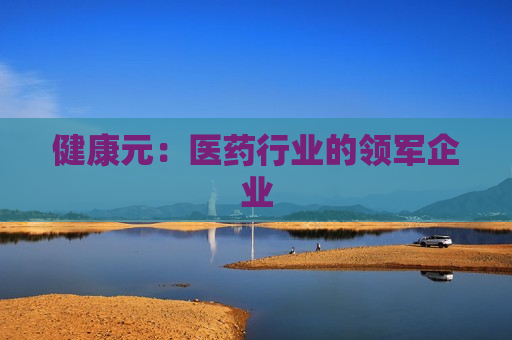 健康元：医药行业的领军企业