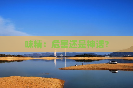 味精：危害还是神话？